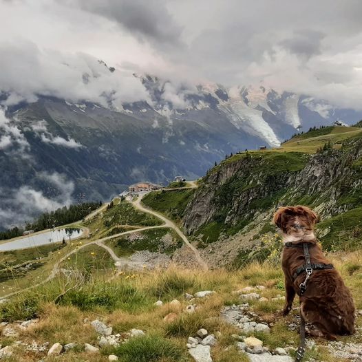 Tour De Mont Blanc